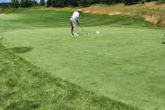 2024_Golf14