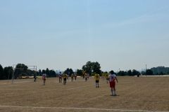 IMG-20250810-WA0127
